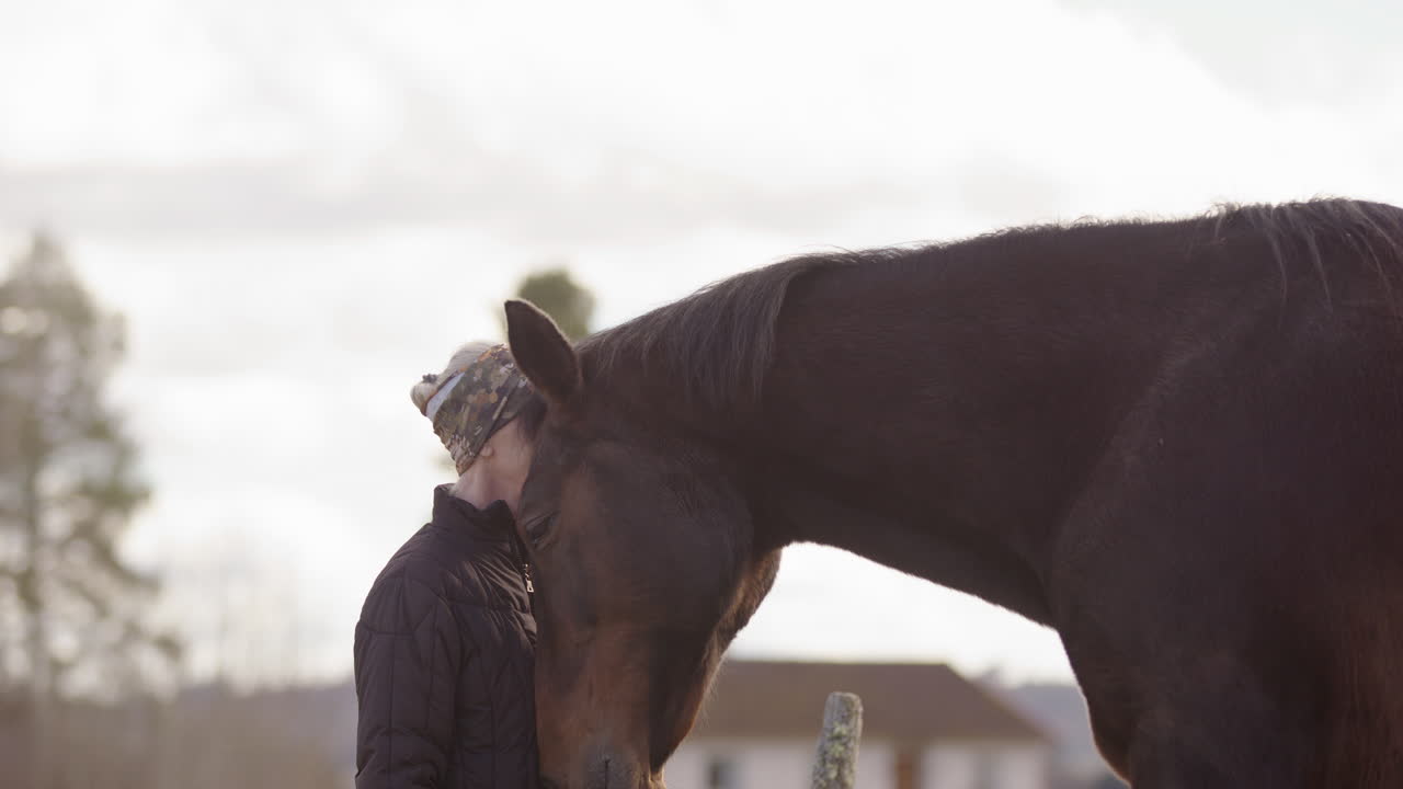 conexión poderosa como castaño caballo hocicos mujer en el taller de terapia de caballos