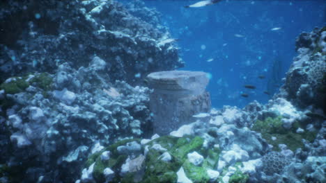 sunken ancient column in underwater coral reef