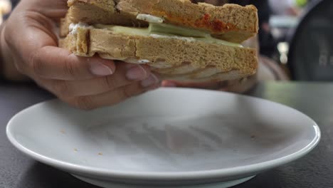 person eating a grilled cheese sandwich