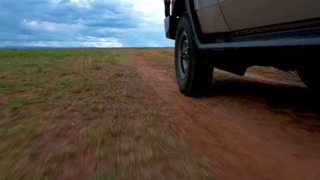 film footage of the front wheel and front of a moving jeep driving on a track through the savannah in africa