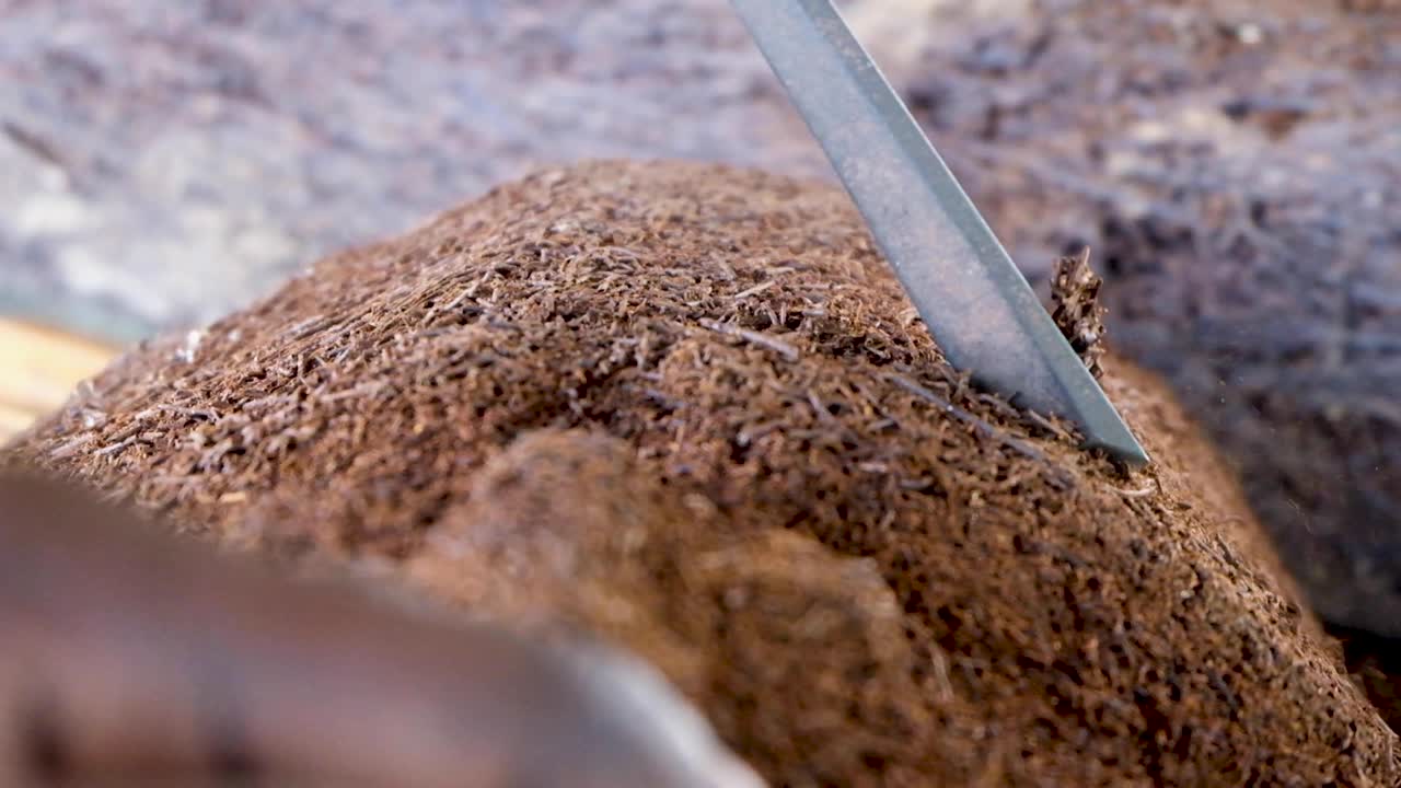 A woodworker's narrow chisel tool slicing through wood carving made from soft tree fern wood, close up of chiseling