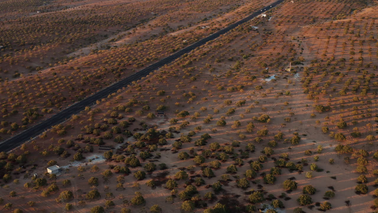 터키의 일몰 때 가지안테프 근처 시골길을 따라 거대한 피스타치오 농장을 공개했습니다.