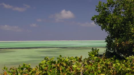 las salinas rosadas y verdes y los lagos de bonaire