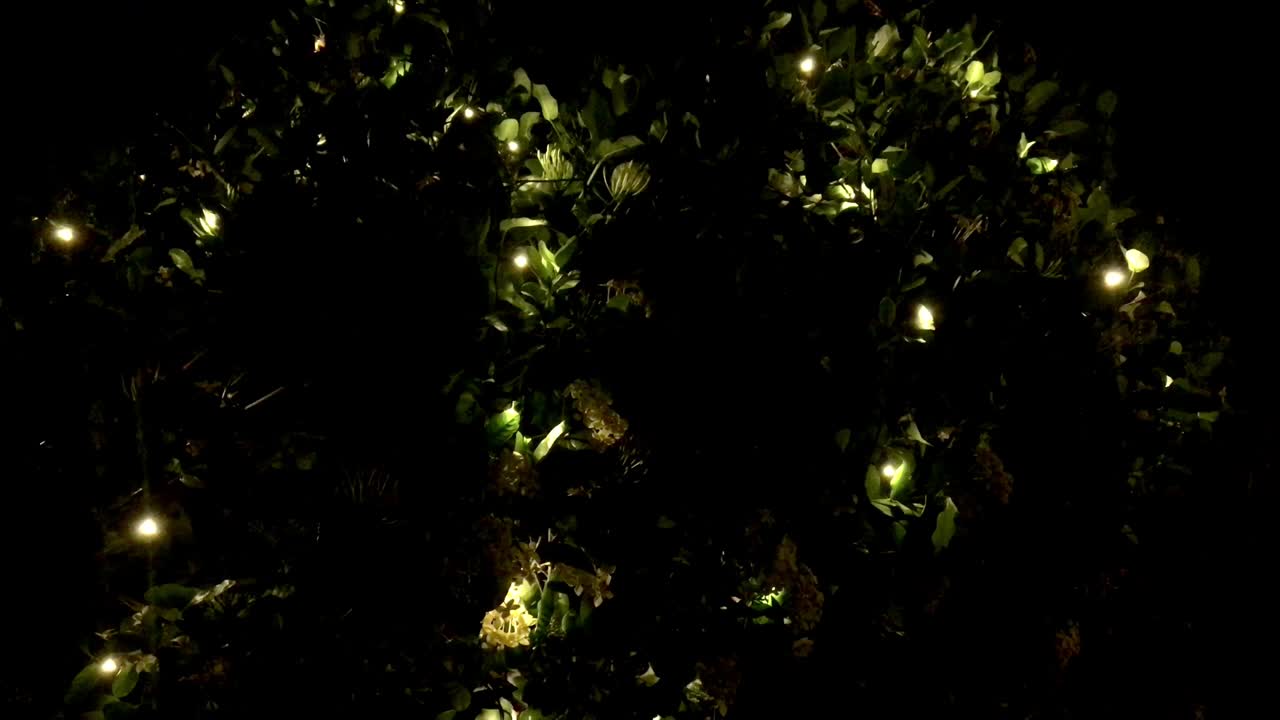 el fondo del árbol de navidad con luces intermitentes. parpadea amarillo