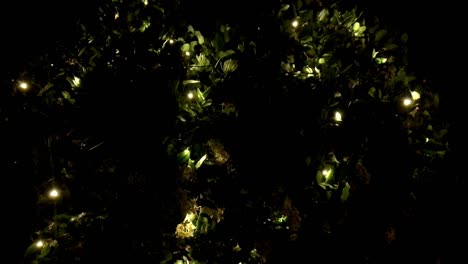 el fondo del árbol de navidad con luces intermitentes. parpadea amarillo