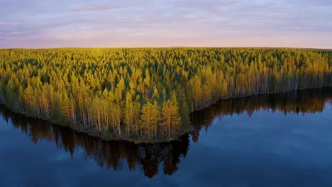 Aerial-Over-Reflective-Calm-Lake-Towards-Sunset-Lit-Coniferous-Forest-In-Finland