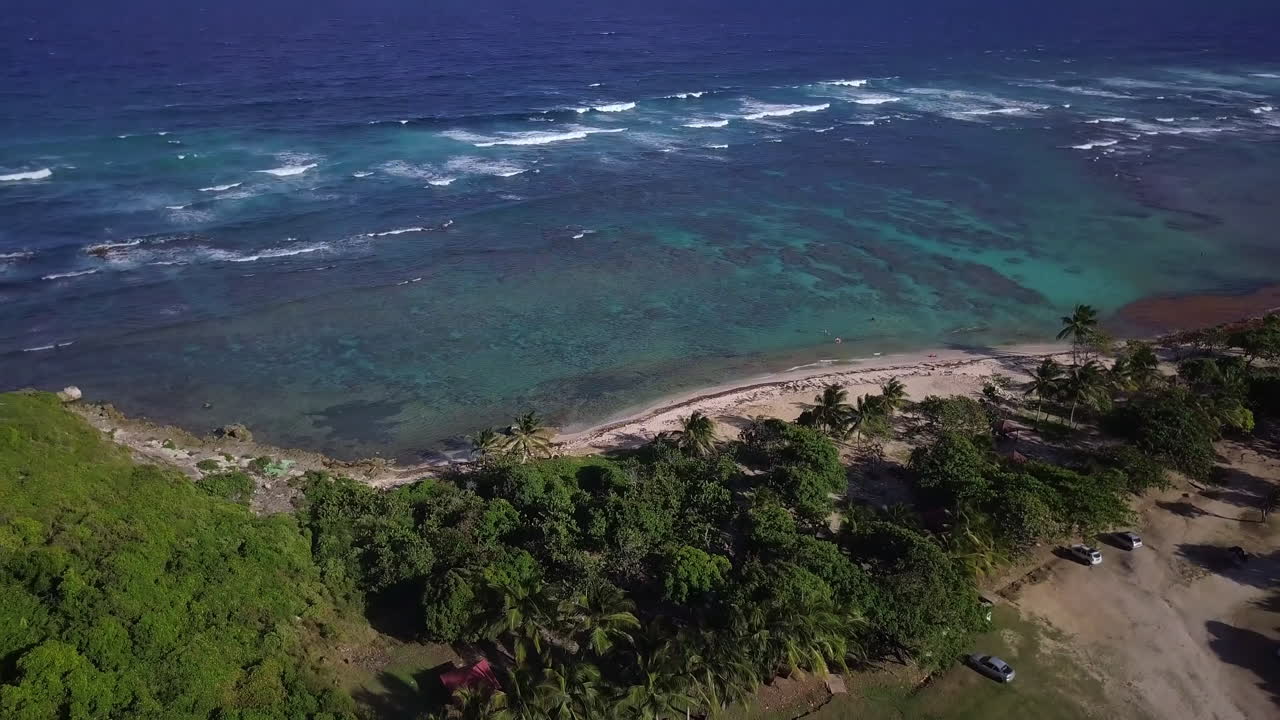 Ripresa aerea, avvicinandosi a una spiaggia di sabbia con palme da dietro.