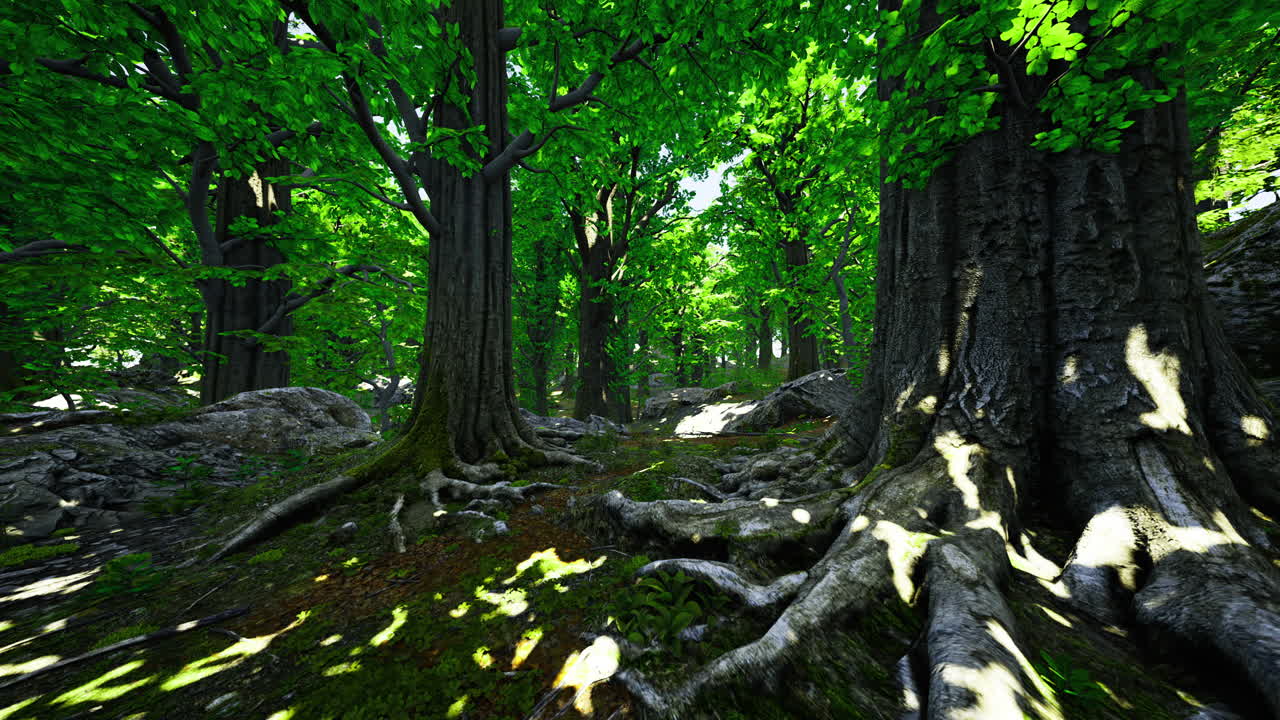 Lush green forest with towering trees and sunlight filtering through leaves
