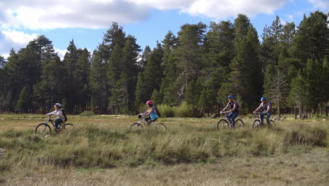 Family-cycling-past-lake,-Big-Bear,-California,-panning-shot