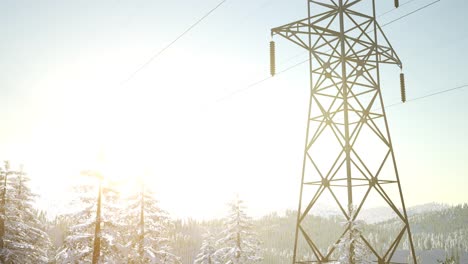línea eléctrica al amanecer