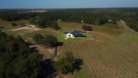 a drone orbiting and ascending shot of a vineyard wedding venue, providing a sweeping view of the surrounding countryside and beautifully aligned vineyard rows