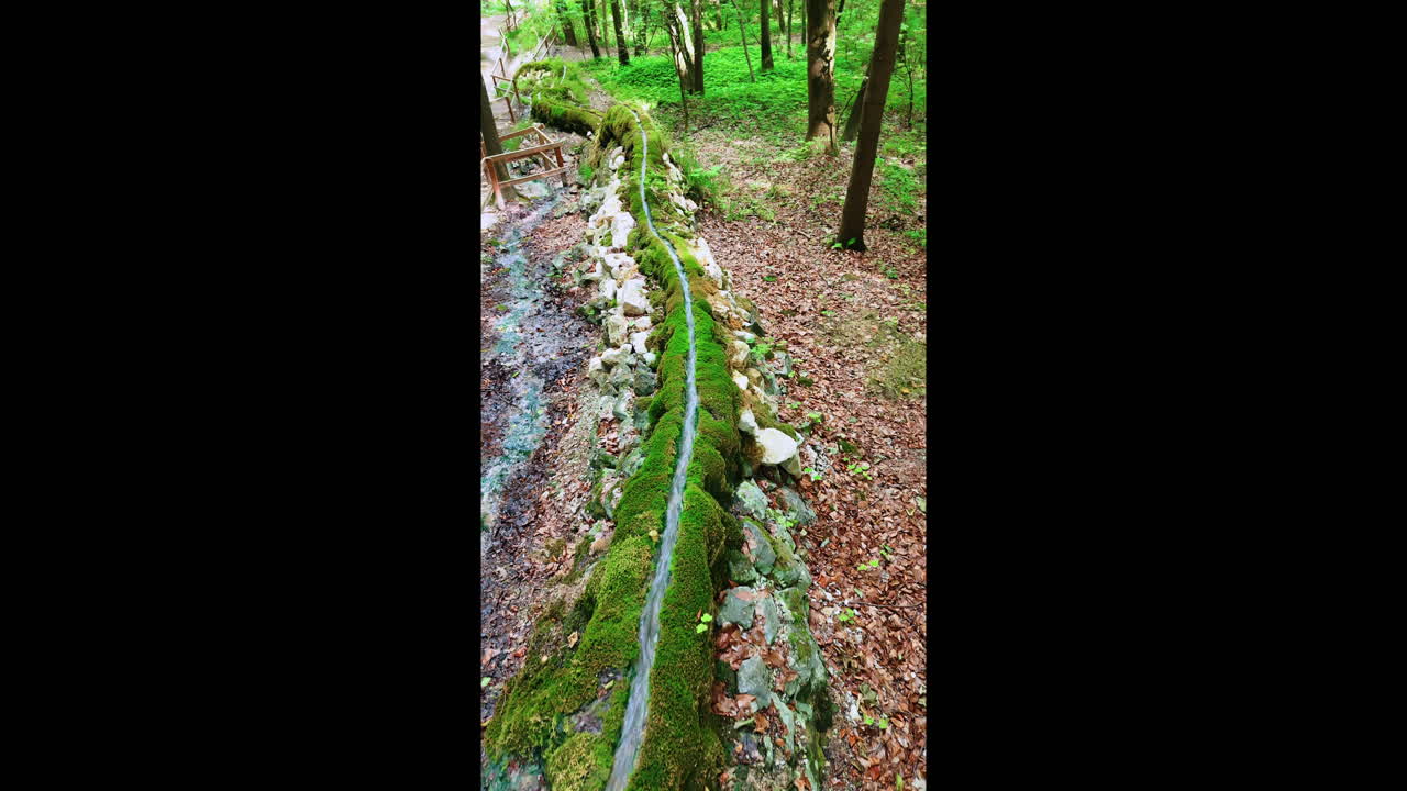 Thin stream of water flowing by the mossy rocks. Unusual spring in the forest from high angle perspective. Vertical video