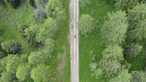 Summer-cycling-tourists-enjoy-exhilarating-bike-ride-in-green-woodland-scenery-Top-down