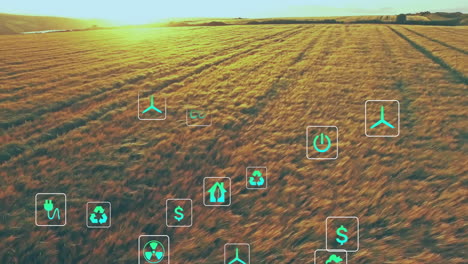 overlaying flat design green icons across golden field at sunset, highlighting renewable energy