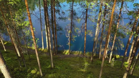 vista aérea del lago y el bosque en finlandia. hermosa naturaleza de finlandia.