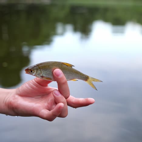 small fish in women hand