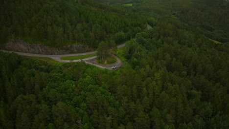 furgoneta estacionada en la carretera en medio de la densa matorral en la costa oeste, noruega