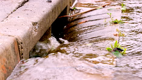 a água da chuva depois de uma chuva torrencial desce por uma calha de concreto para o esgoto da rua, hidrologia