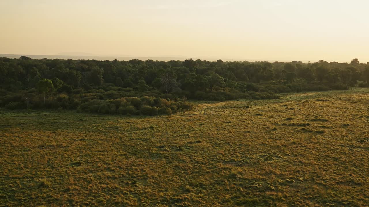 áfrica toma aérea del bosque de sabana y los árboles paisaje al amanecer, increíble experiencia de viaje volando sobre maasai mara en globo de aire caliente vuelo por encima de la naturaleza increíble al atardecer