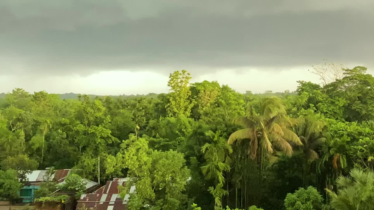 南アジアに接近する嵐を知らせるように、暗いモンスーンの雲が森林の端近くのバングラデシュの農村上空を覆い、激しい暴風がヤシの木のてっぺんを揺らしています。