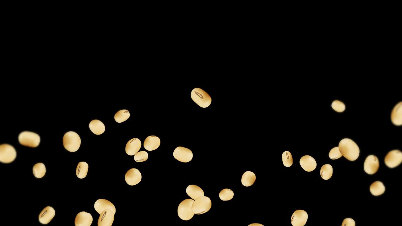 검은색 바탕에 많은 콩을 날아. 밝은 갈색 곡물. 콩과 콩. 건강한 음식. 회전하는 콩의 3d 루프 애니메이션.