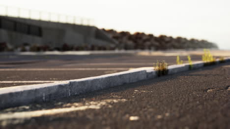 empty beach car park spaces covered in asphalt.