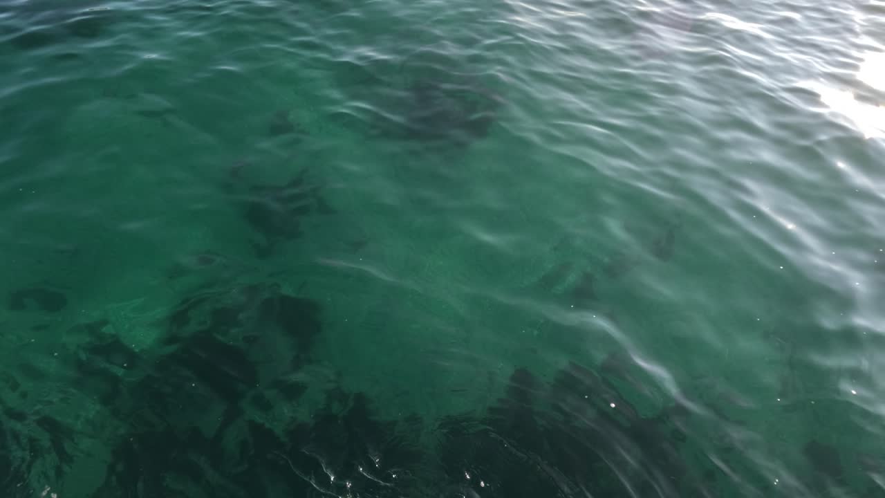 agua ondulada con reflejos de la luz solar