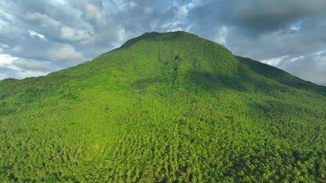 Green-covered-mountain-with-coconut-trees-on-Philippines-Island