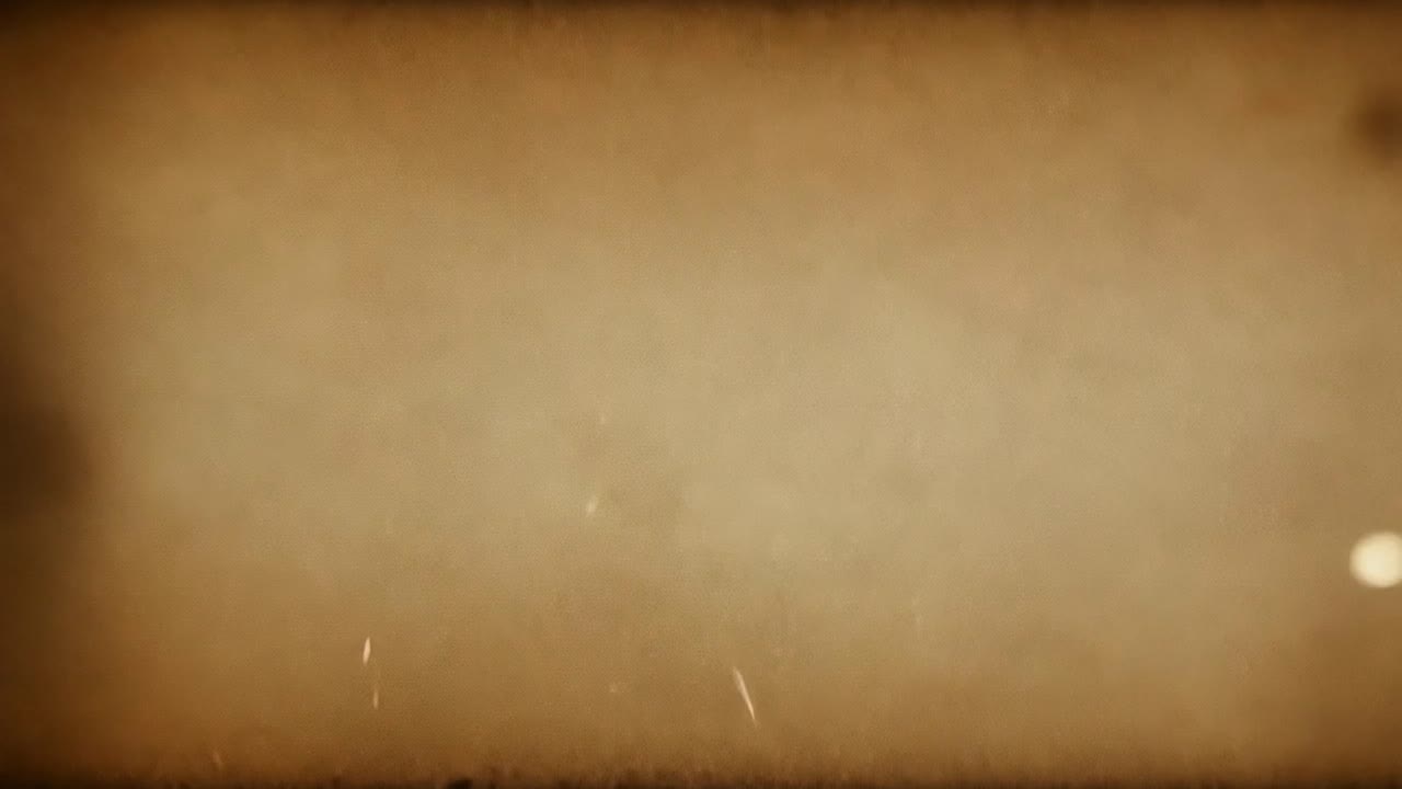 먼지 입자들은 검은 바탕에 우아하게 떠다니며, 움직임과 질감의 매혹적인 전시를 만니다.