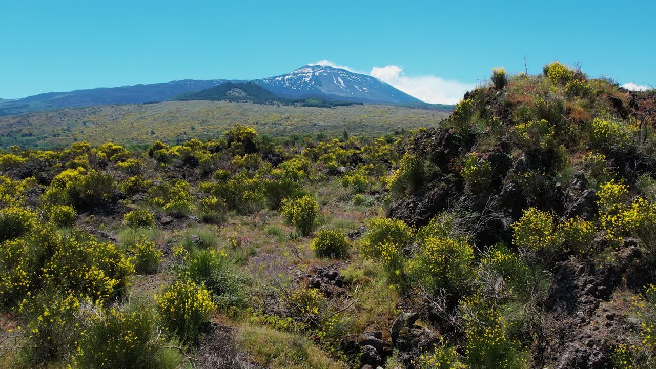 Drone shot of scenic landscapes around Mt. Etna, Volcano in Sicily, Italy, drone flies slow and low towards the volcano