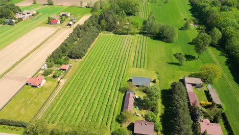 Luftaufnahme-Eines-Landwirtschaftlichen-Feldes