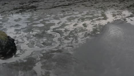 birds flying over an estuary on vancouver island bc