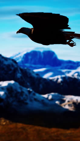 majestic bald eagle soaring over snow capped mountains