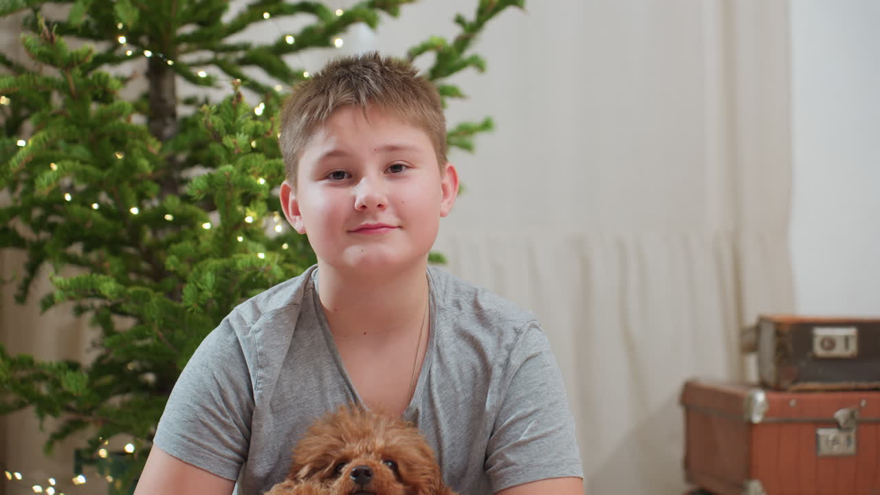 Close up view of boy wearing grey shirt gently holding small brown dog while sitting in cozy room decorated with glowing christmas tree lights, festive and warm atmosphere during holiday celebration