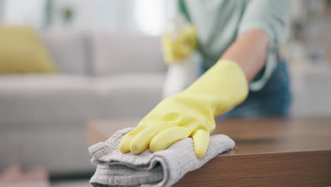 housekeeping, products and woman cleaning