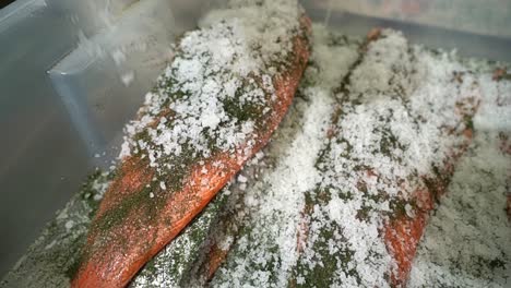 rock salt hitting salmon fillet in slow motion - processing traditional graved salmon delicacy