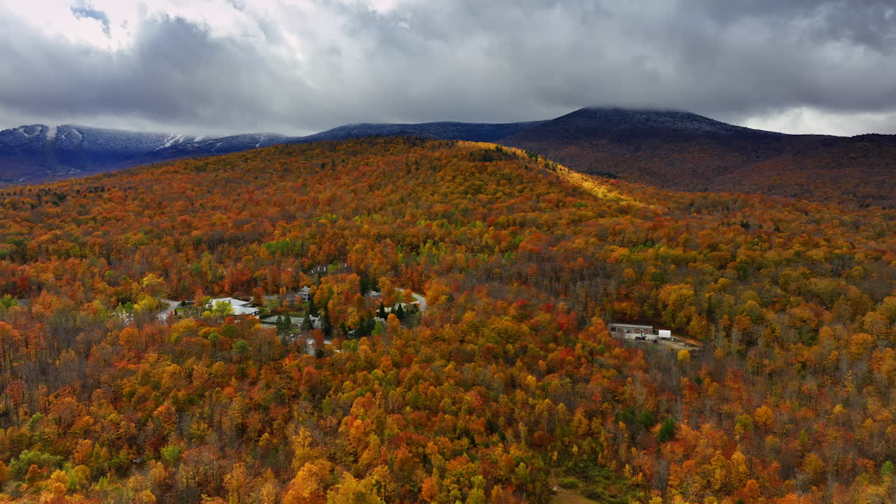 Flying over the colorful forest covering the scenery. Mountains under the dramatic cloudscape at backdrop.