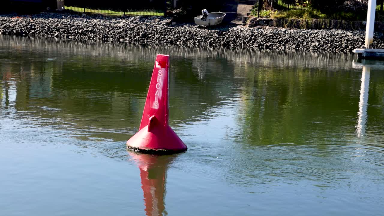 평온 한 물 에서 떠다니는 은 보이