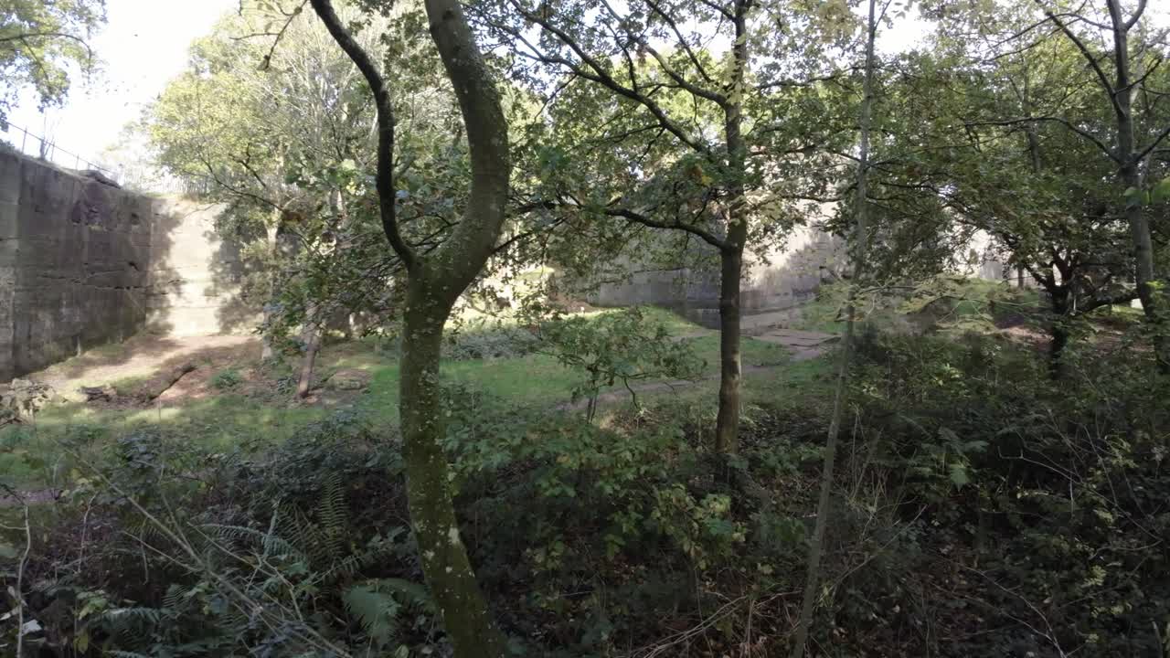 나무와 단풍 사이로 햇빛이 비치는 빽빽한 채석장 숲을 가로지르는 fpv 드론