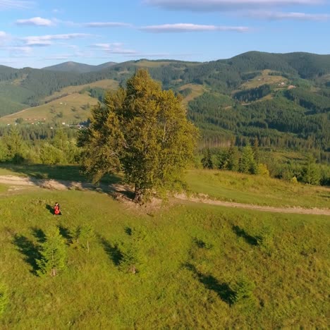 cellist on green meadow. musician with musical instrument on the top of a hill on idyllic nature background of mountains in summer. aerial view