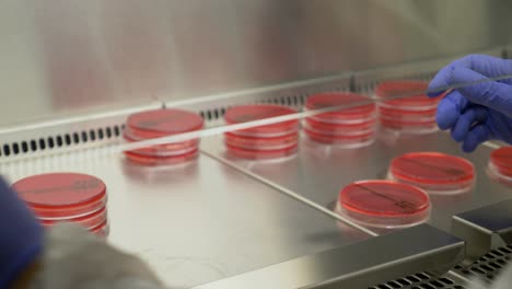 Slow-motion-camera-view-of-microbiologist-hands-putting-back-the-sample-after-using-it-to-the-experiment