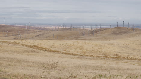 disparo amplio de molinos de viento en colinas secas en un día nublado