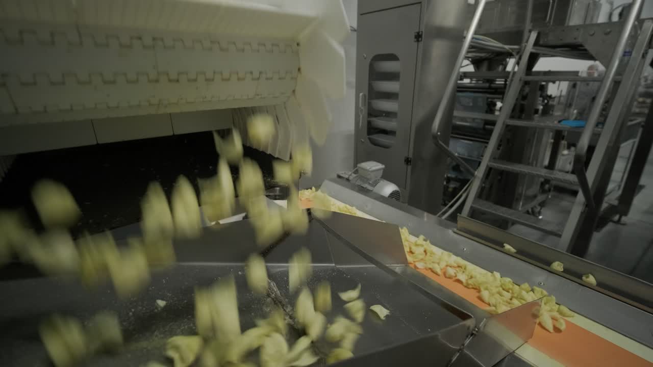 la línea de producción de la fábrica mueve las patatas fritas doradas después de freír. línea de fabricación de la fábrica de pasta