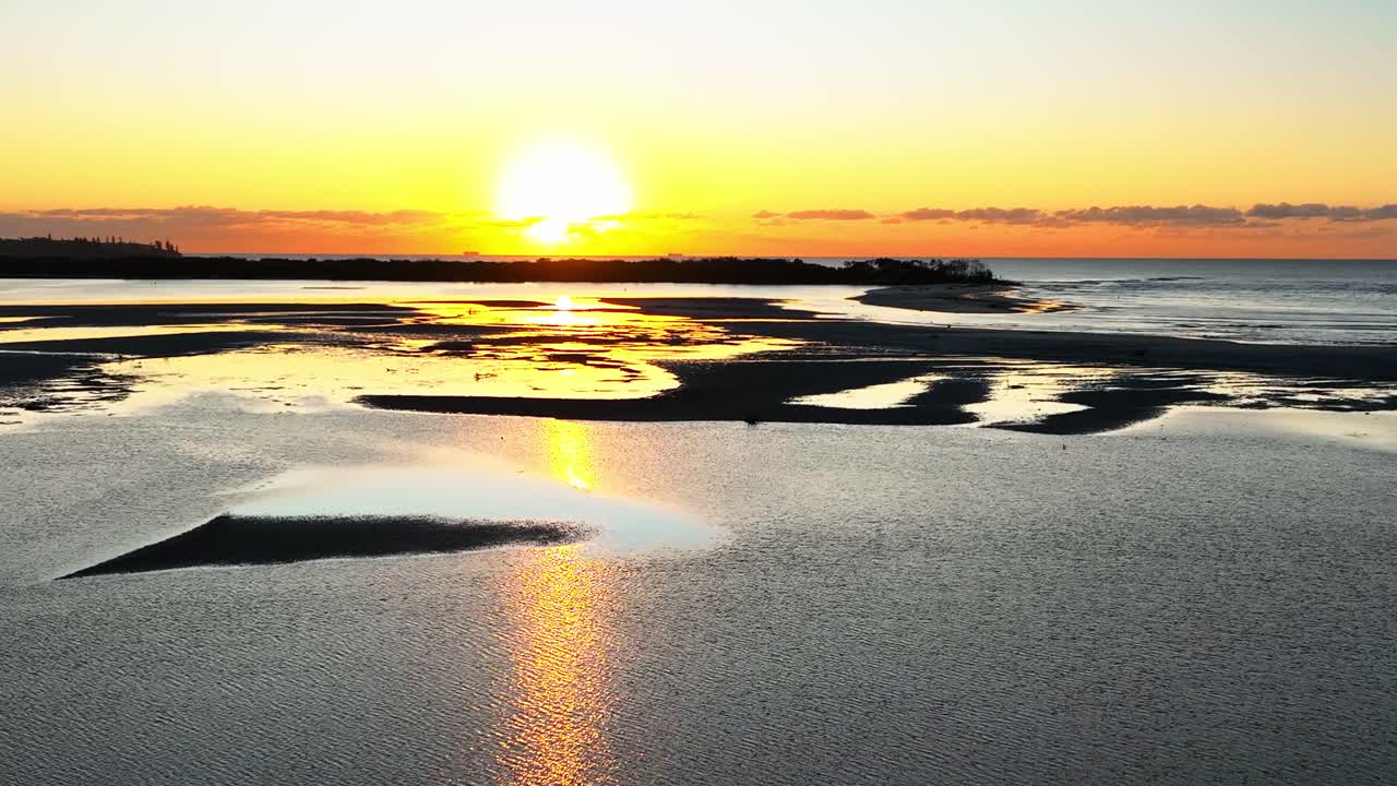 volando hacia el horizonte dorado durante un amanecer temprano en la marea baja