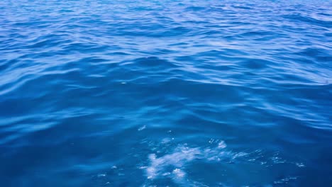 blue water and calm waves in red sea