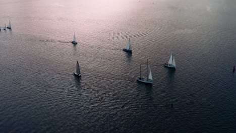 flight around a sailing group of yachts at sunset with light tilt shift effect