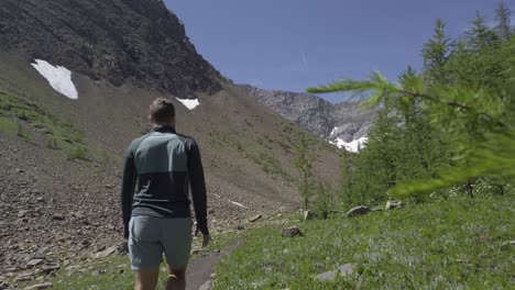 excursionista caminando por el valle de pinos de cerca seguido rockies, kananaskis, alberta, canadá