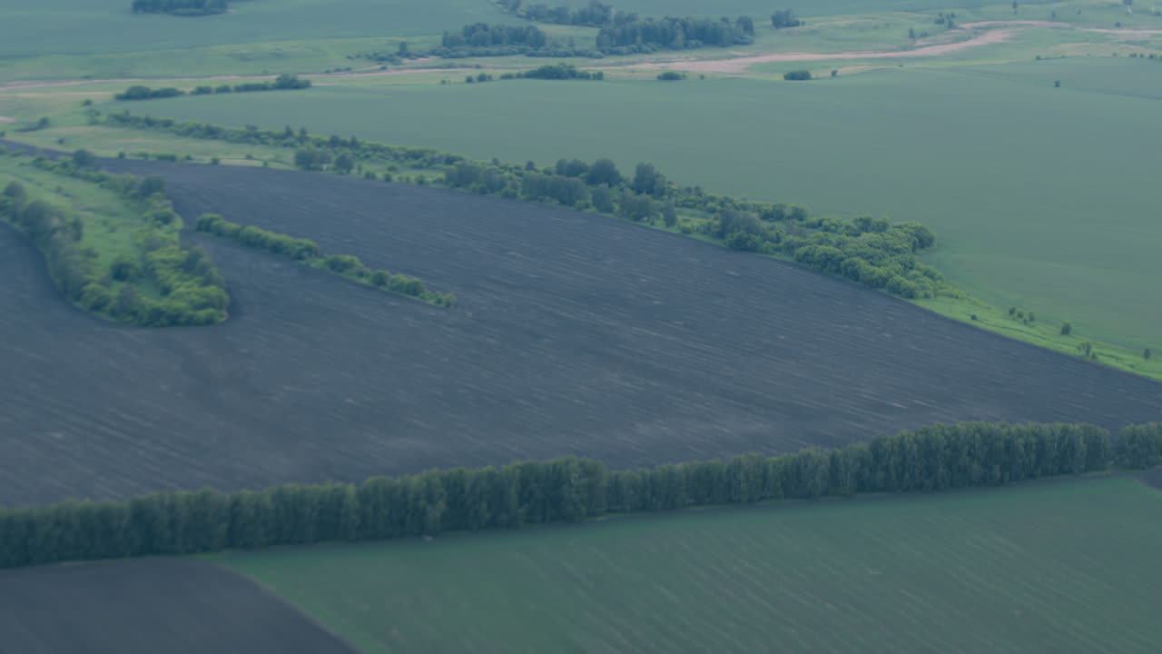 aerial overhead perspective of endless green and dark brown agricultural field mosaics intersected by winding woodland strips irrigation channels under soft evening light capturing rural tranquility
