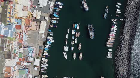 top down aerial view of local marina in naples, italy, fishing boats by waterfront buildings and breakwater in mediterranean sea