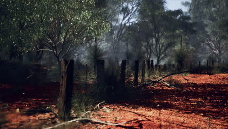 old-rusted-small-farm-fence